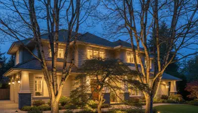 Dramatic tree uplighting design by Chop Chop Landscaping in Seattle, WA highlighting mature trees at night
