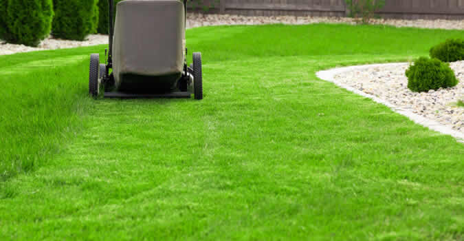 Lawn Care Seattle Wa Chop, Landscaping Services Seattle